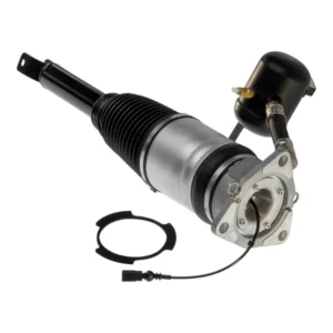 Audi A8/S8 D3 (4E) rear left air suspension 4E0616001N